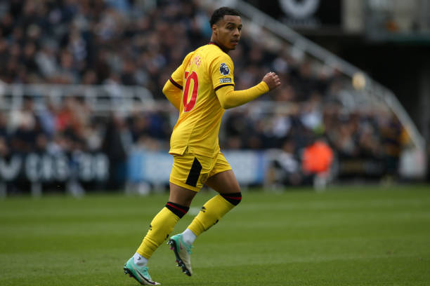 智能家居的 智能家居的