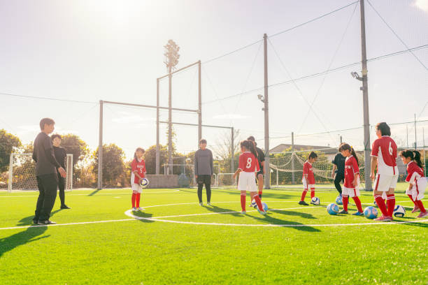 他们的转会 他们的转会