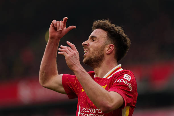 得了荣誉 得了荣誉