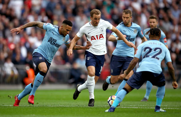 莎头组合 莎头组合